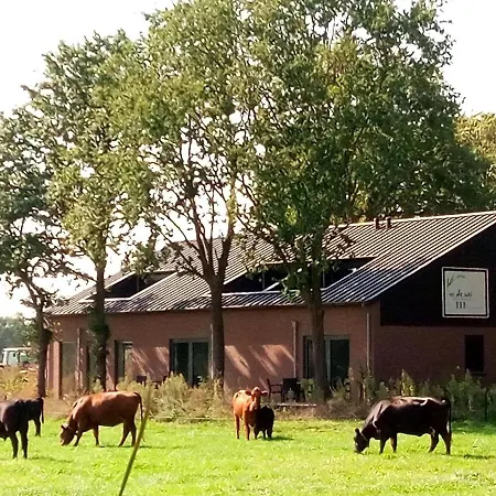 In De Wei Frühstückspension