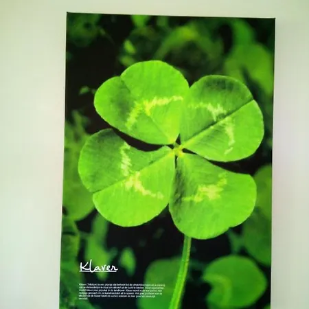 In De Wei Frühstückspension Erp