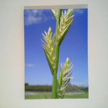 In De Wei Frühstückspension