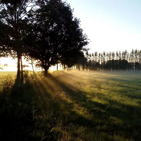 In De Wei
