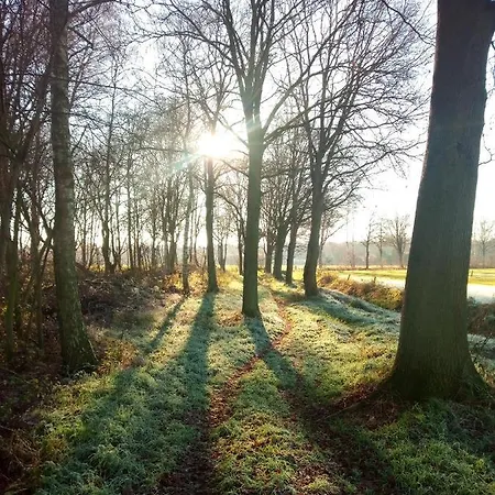 Frühstückspension In De Wei Erp