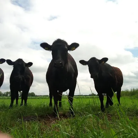 In De Wei Panzió Erp