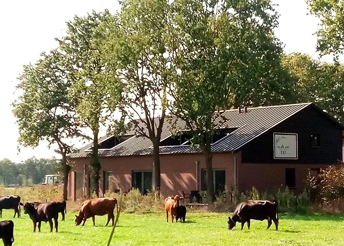 In De Wei Panzió