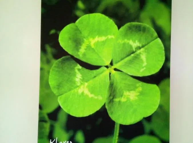 In De Wei Panzió Erp