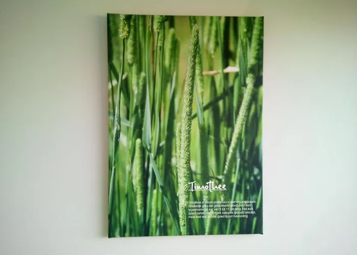 In De Wei Panzió Erp