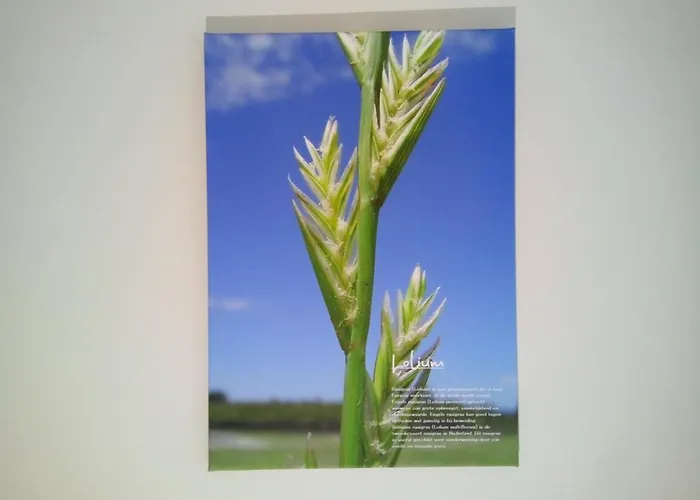 In De Wei Bed and Breakfast