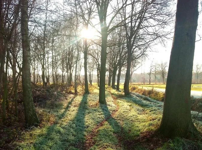 Bed and Breakfast In De Wei Erp