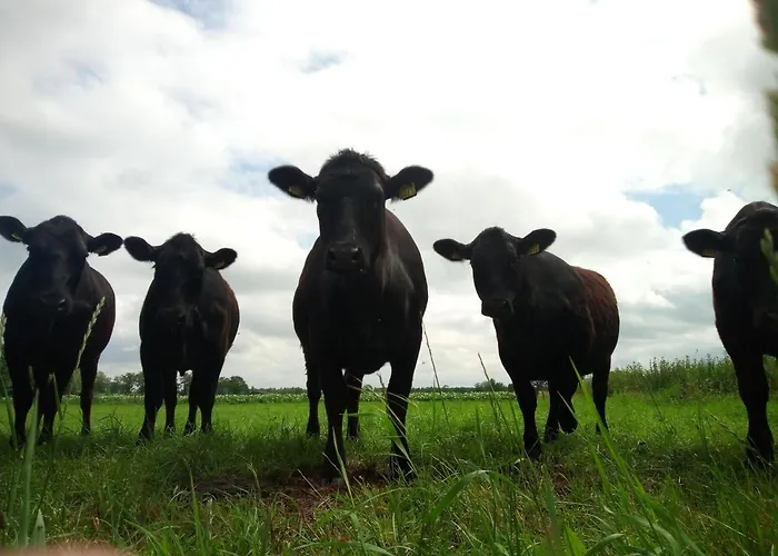 In De Wei Panzió Erp