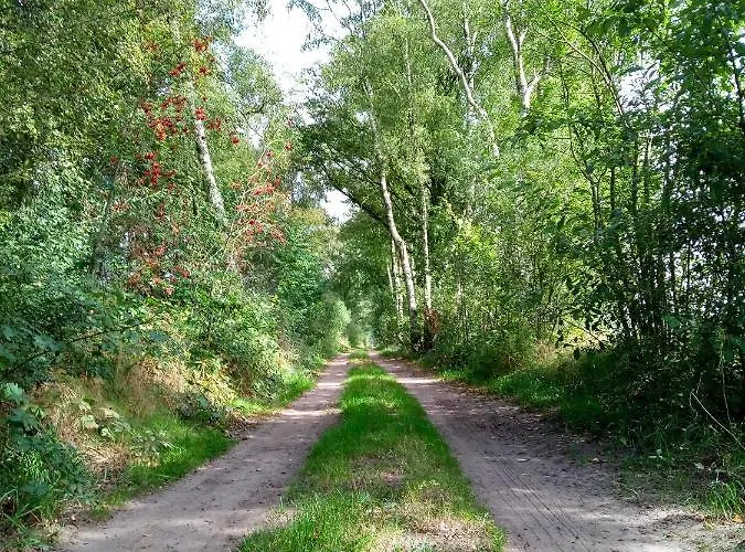 Bed and Breakfast In De Wei