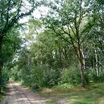 In De Wei 3*