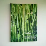In De Wei Bed & Breakfast Erp