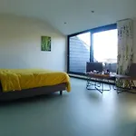 In De Wei