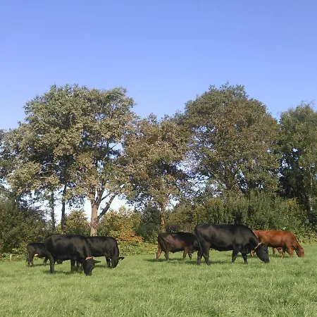 In De Wei
