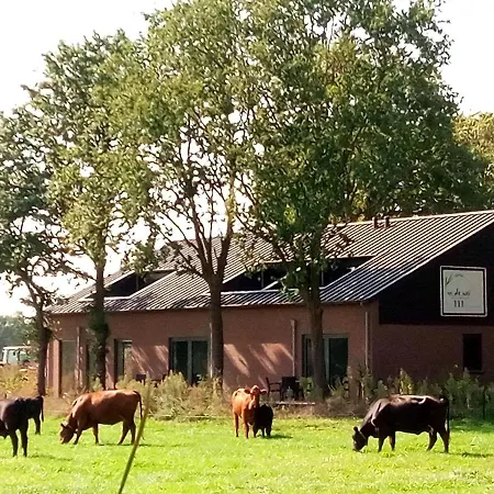 In De Wei Oda ve Kahvaltı