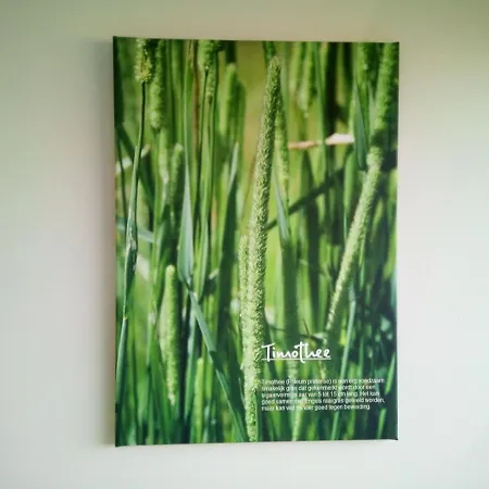 In De Wei 住宿加早餐酒店 埃尔普