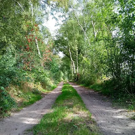 住宿加早餐酒店 In De Wei